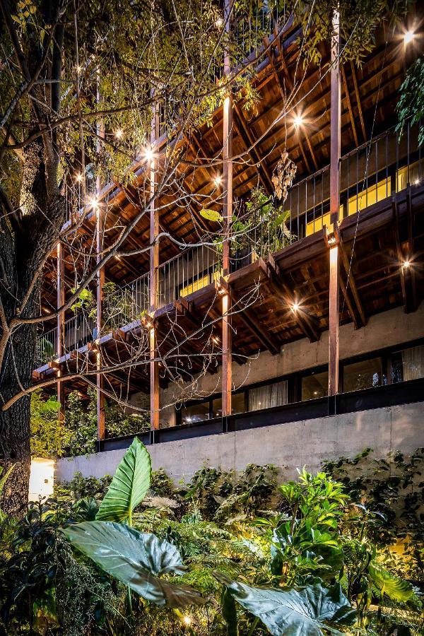 Ana Polanco Apartments Mexico-stad Buitenkant foto